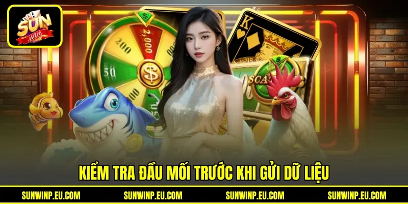Kiểm tra đầu mối trước khi gửi dữ liệu